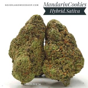 mandarin cookies strain