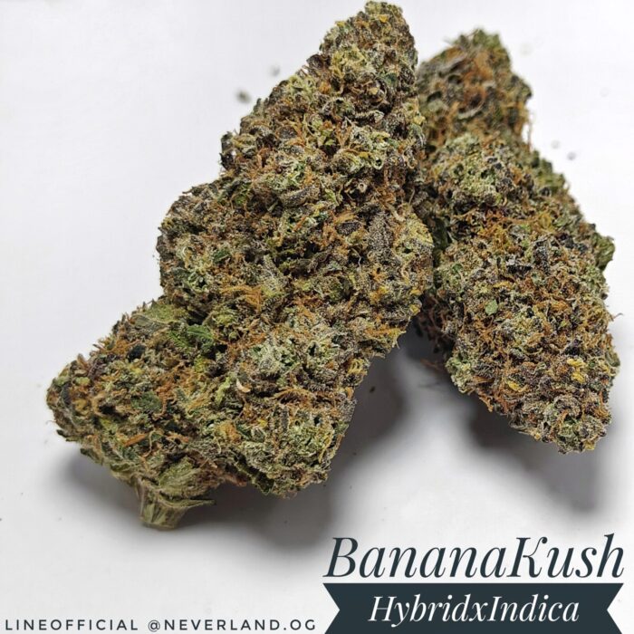 Banana kush strain