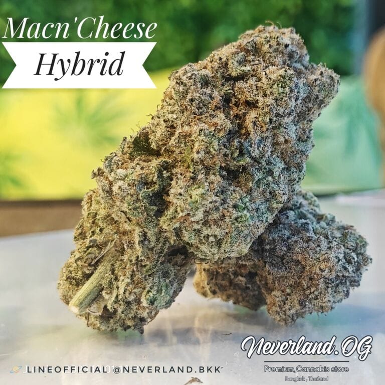 Mac n' Cheese Strain