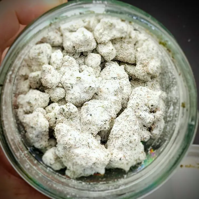 snow bud - diamond infused