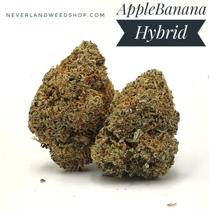 APPLE BANANA Weed Strain | Hybrid Indica