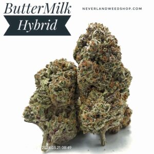 ButterMilk Strain