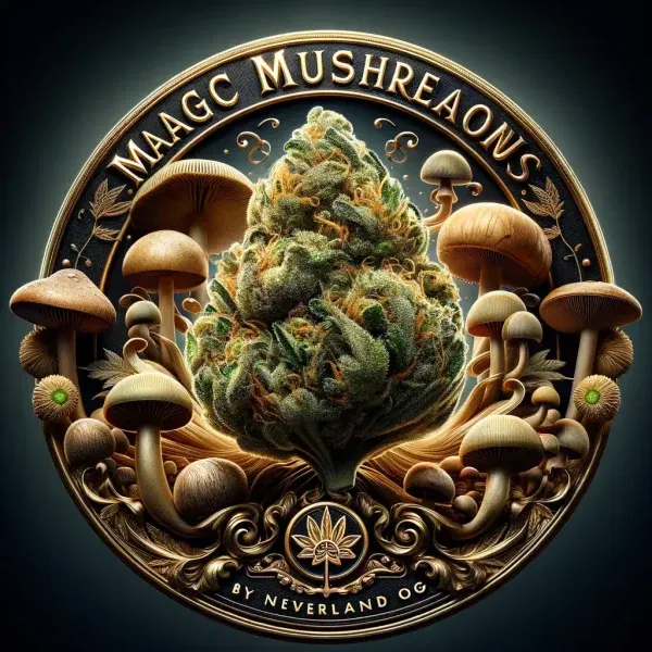 Cannabis vs Magic Mushroom