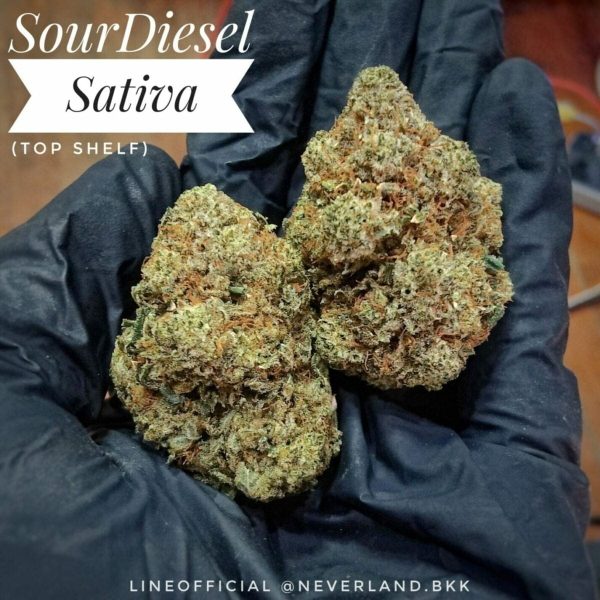 Sour diesel Strain